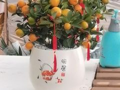 -利达汤圆馄饨(川公路店)