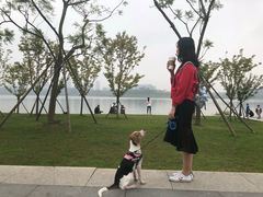 -星巴克(成都科学城店)