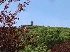 -苏州上方山国家森林公园