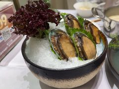 -红鼎豆捞·非遗鲍皇汤火锅(宝丰路店)