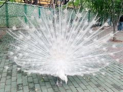 -常州淹城野生动物世界