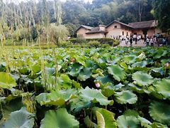 -韶山毛泽东同志故居