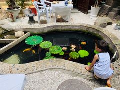 -映像威海·海鲜味道(市区店)