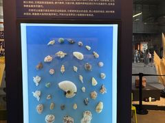 -浙江自然博物院(杭州馆)