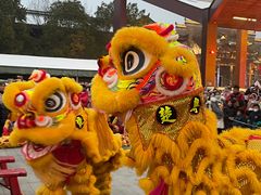 -武汉园博园(武汉自然博物馆)