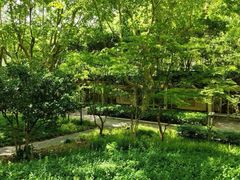 -徐家汇源景区-衡山公园