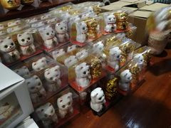 -猫咪博物馆(顶澳仔猫街店)