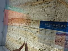 -大连自然博物馆