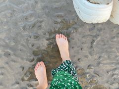 -南汇新城海滩