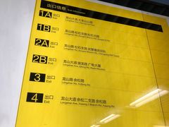 -大龙山(地铁站)