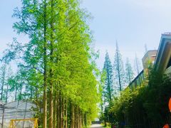 -前小桔亲子创意农场·草莓采摘·露营烧烤