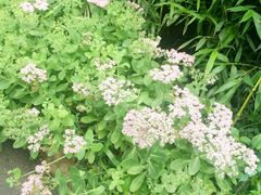 -北京宽沟会议中心