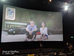 -百美汇影城(LUXE嘉里中心店)