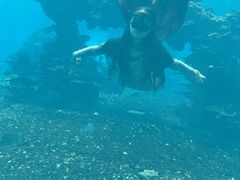 -海棠湾洲际-涛·海底餐厅·美人鱼·自助餐·海底隧道
