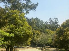 -虞山风景区