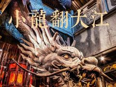 -小龙翻大江文化火锅(宽窄店)