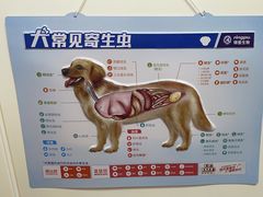 -瑞派康怡24h宠物医院·犬猫医疗中心·微创绝育(瑞景分院)