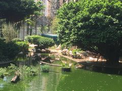 -九龙公园