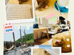 -小时光咖啡馆(开森度假森林店)