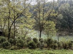 -唐崖土司城遗址