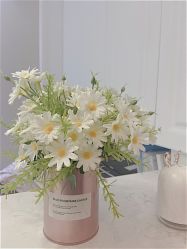 -F.N冻龄皮肤管理中心