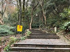 -普陀山风景区-佛顶山