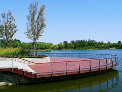 -东郊湿地公园
