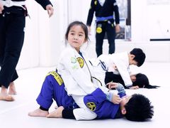 -菠萝格斗巴西柔术训练馆