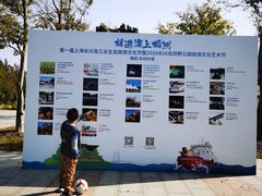 -上海长兴岛郊野公园