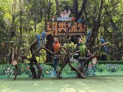 -广州长隆飞鸟乐园
