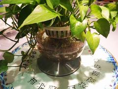 -保定会馆(红旗大街店)