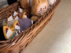 -四小姐的店(泉舜店)