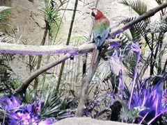 -杭州开元森泊度假乐园