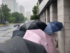-上海市徐汇区口腔医院