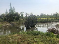 -长田漾湿地公园