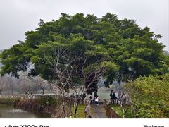 -深圳龙潭公园