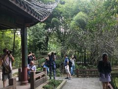 -望江楼公园