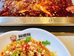-杨肥肠小火锅(新桥店)