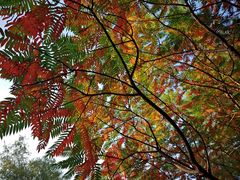 -长春市南湖公园