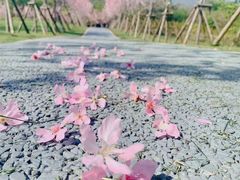 -福建鲤鱼洲酒店