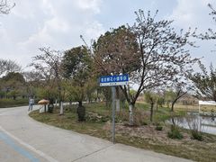 -南通鲜花小镇