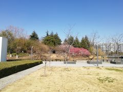 -白塘生态植物园