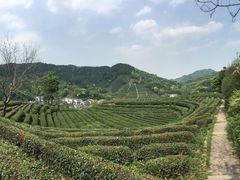 -西湖风景区十里琅珰-五云山