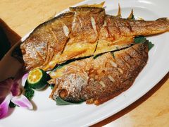 -龙泉人椰子鸡.糟粕醋.海南菜(三亚旗舰店)