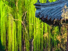 -莲池书院博物馆