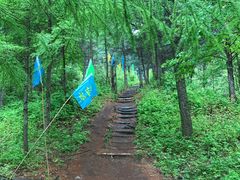 -参仙谷生态旅游度假区