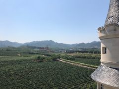 -北京张裕爱斐堡酒庄