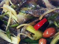 -陈添記·祖傳爽鱼皮·西关老字号(广州首店)