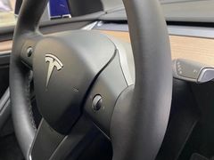 -TESLA 特斯拉(郑州正弘城体验店)