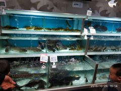 -盒马鲜生(枣园路店)